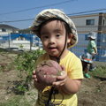 心愛・心愛つうのなかまたち