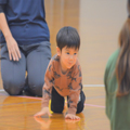 心愛・心愛つうのなかまたち