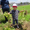 心愛・心愛つうのなかまたち