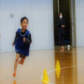 心愛・心愛つうのなかまたち